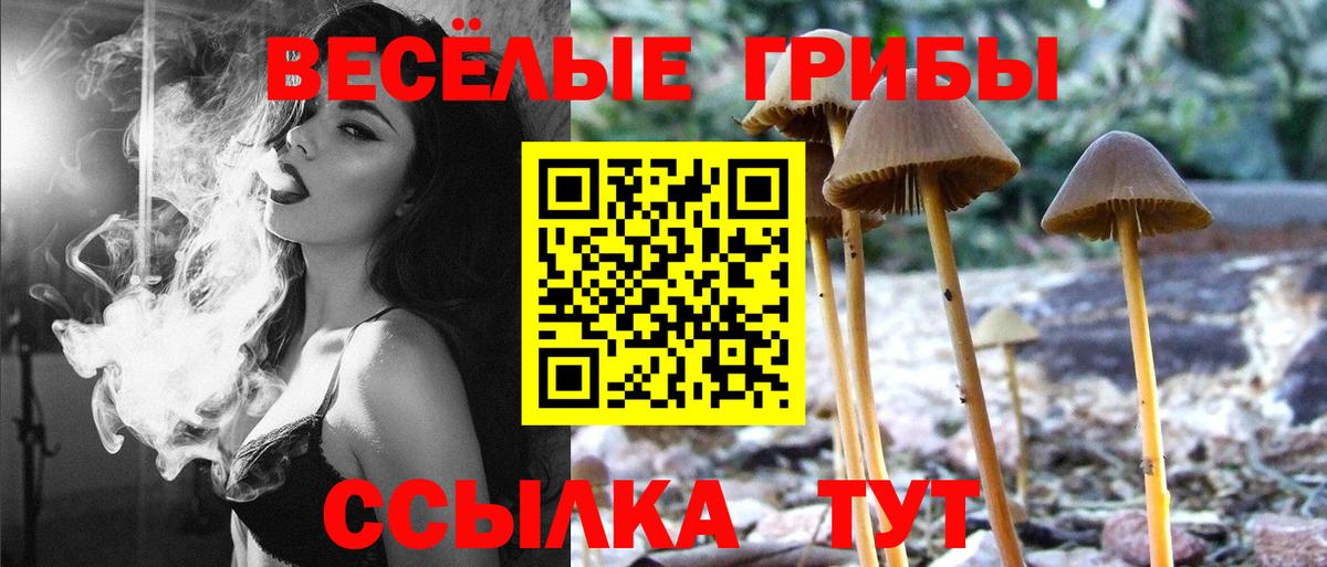 Псилоцибиновые грибы мухоморы  Вход с VPN  Ростов-на-Дону  Галлюциногенные грибы мицелий 